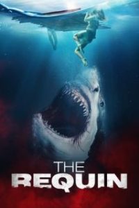 Sharkwater [Subtitulado]